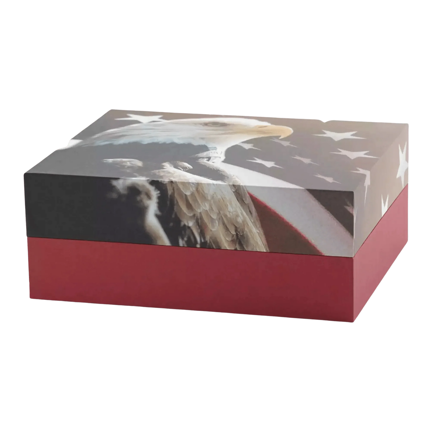 Explorer Scattering Urn - Freedom Large Adult Urn