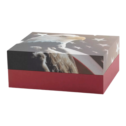 Explorer Scattering Urn - Freedom Large Adult Urn