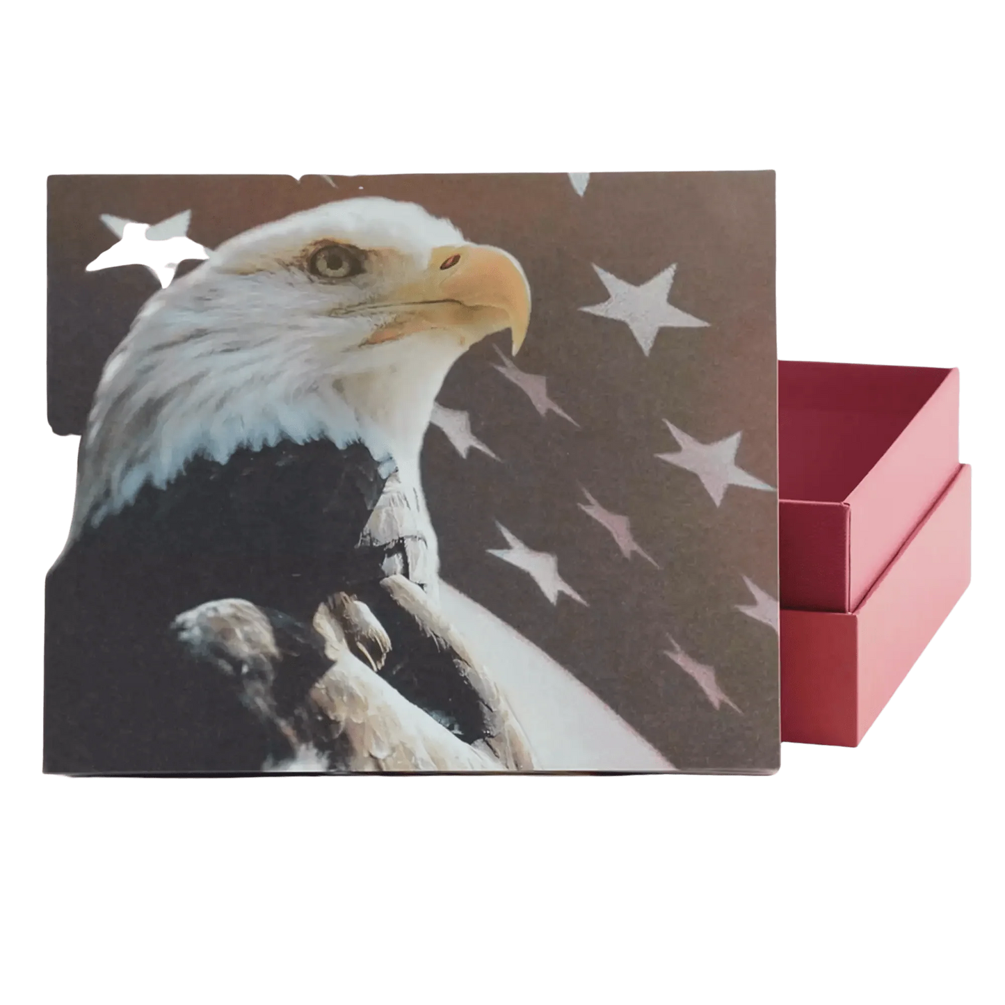 Explorer Scattering Urn - Freedom Large Adult Urn