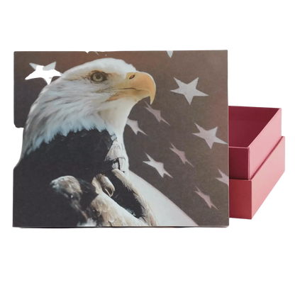 Explorer Scattering Urn - Freedom Large Adult Urn