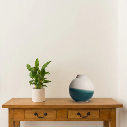 Solstice X Terra Noir |  Soft White With Blue Moon Keepsake Urn
