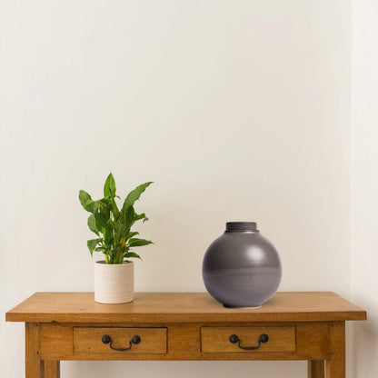 Solstice X Terra Noir | Gray Shino Moon Keepsake Urn