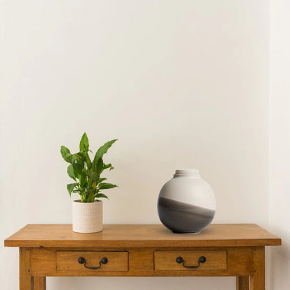 Solstice X Terra Noir |  Soft White With Gray Moon Keepsake Urn
