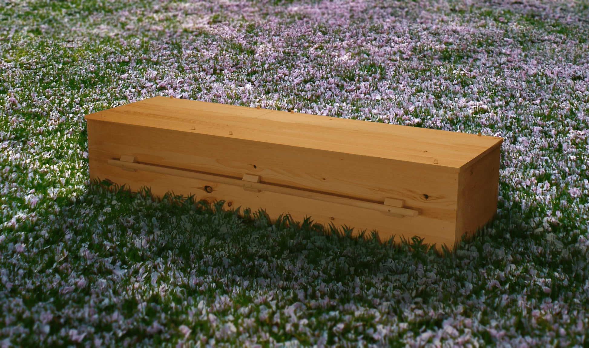 Customer Titan Casket Eco I Pine Series Casket