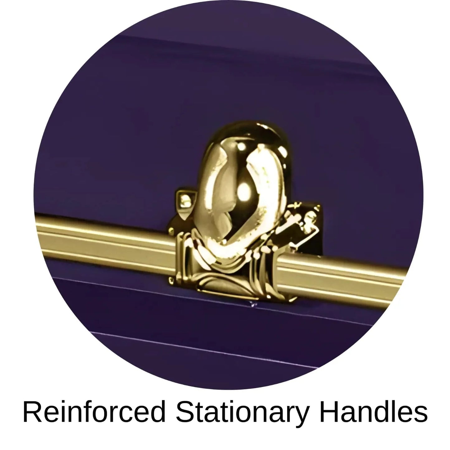 Reinforced Stationary Handles Of Titan Orion Series Casket