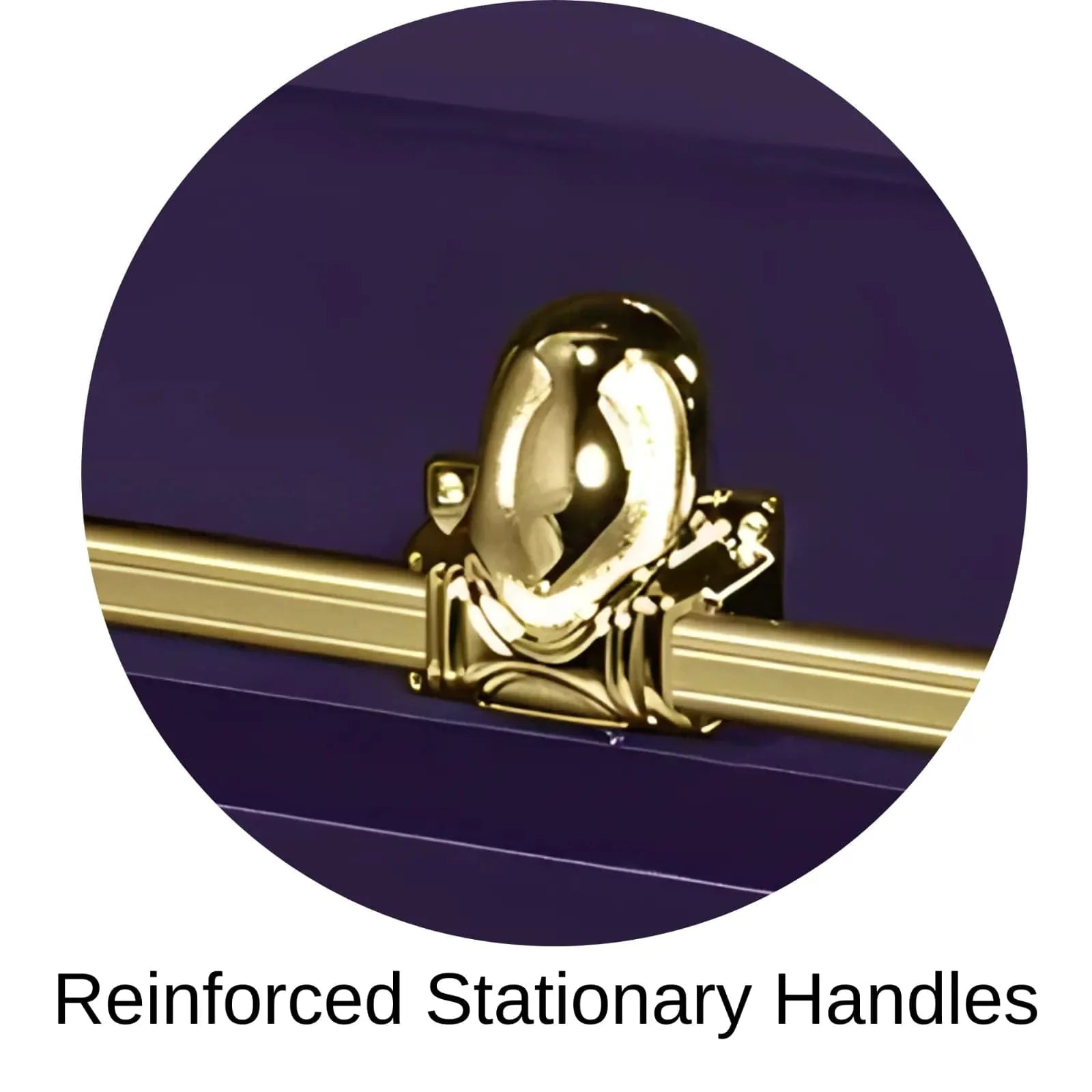Reinforced Stationary Handles Of Titan Orion Series Casket