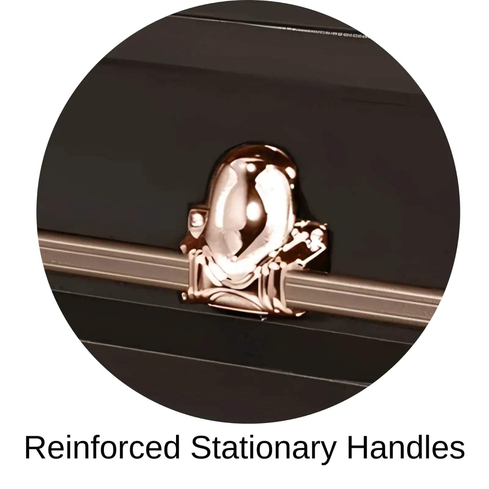 Reinforced Stationary Handles Of Titan Orion Series Casket