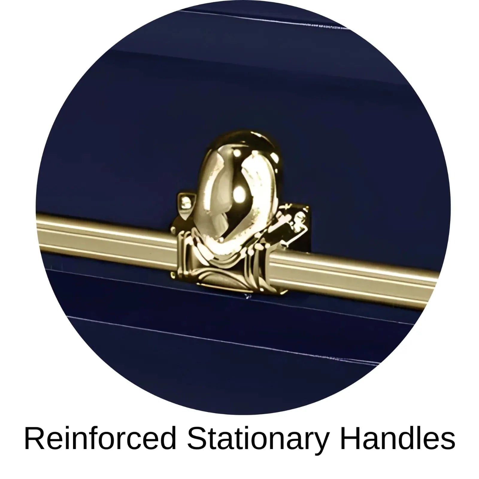 Reinforced Stationary Handles Of Titan Orion Series Casket