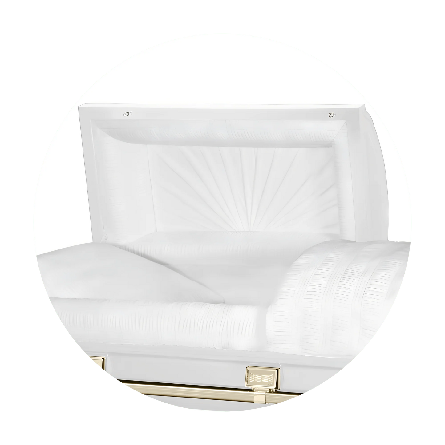 Commander XXL 40 & 44-inch | White and Gold Steel Oversize Casket with White Interior