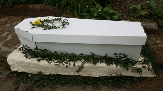 Cardboard Coffin 