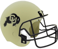Colorado Helmet - Gold Adult Urn