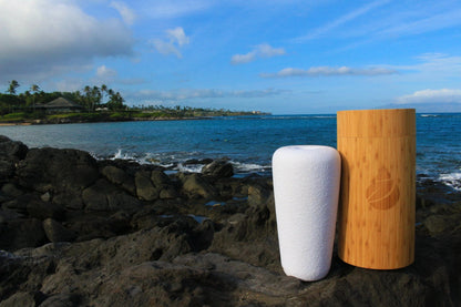 Eco Water Urn