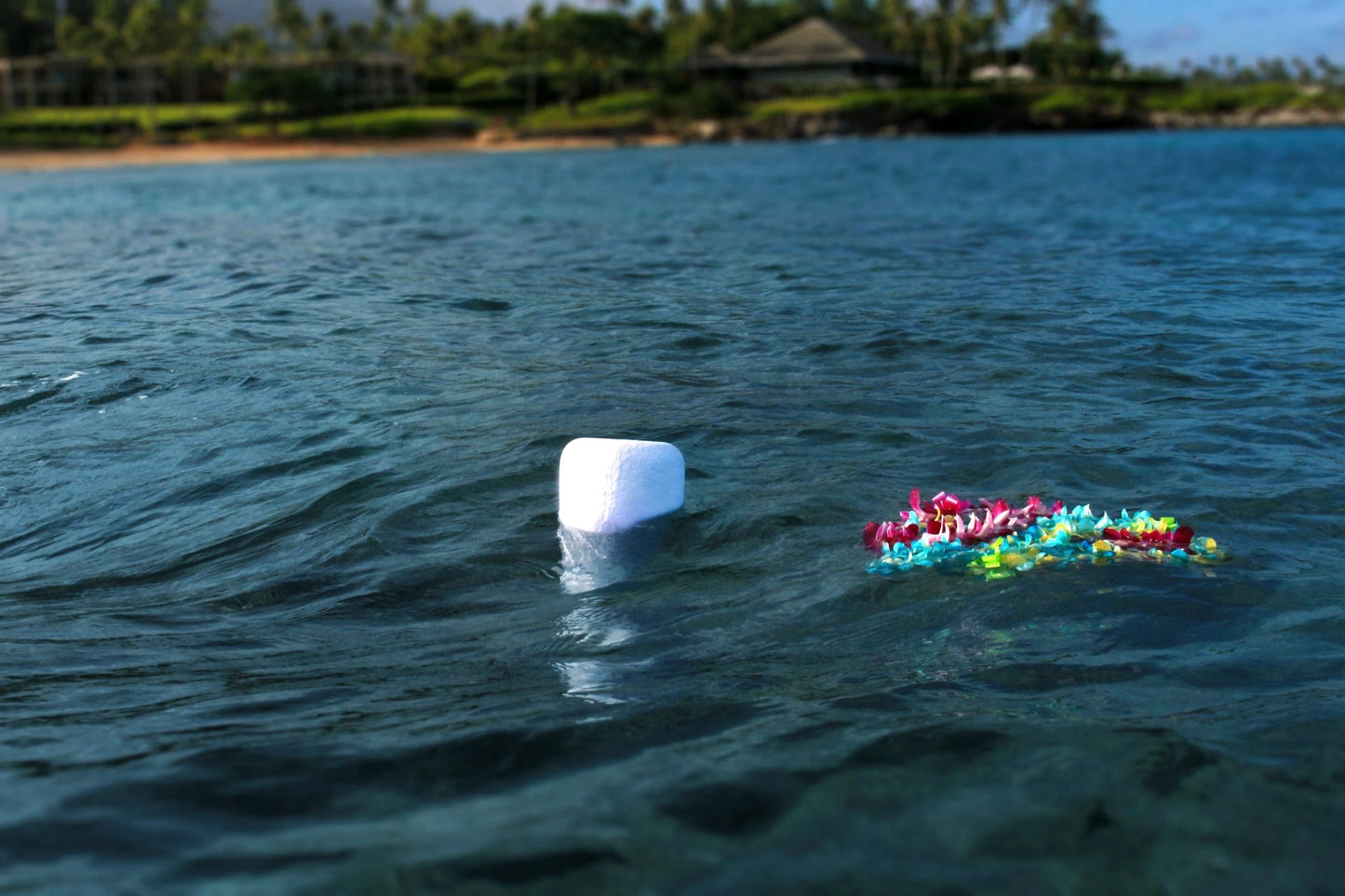 Eco Water Urn