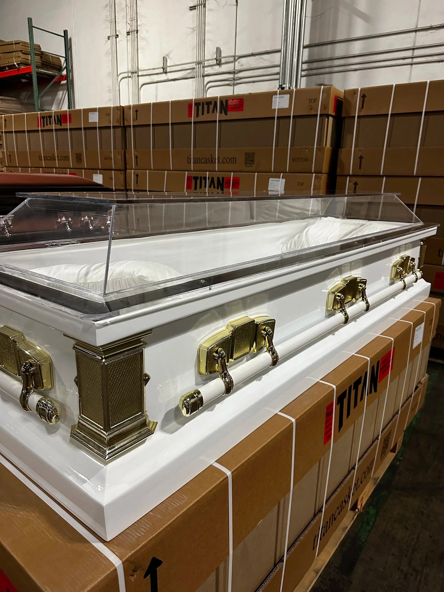 Clear Top Casket