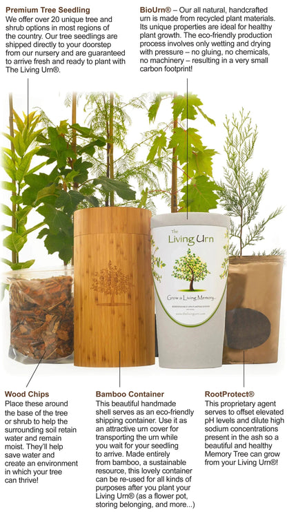 The Living Urn