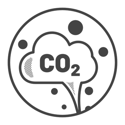 Plant 50 Additional Trees | 625 kg CO₂ estimated annual sequestration