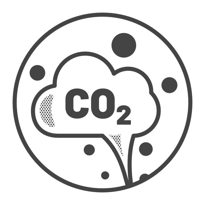 Plant 100 Additional Trees | 1,250 kg CO₂ estimated annual sequestration